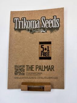 The Palmar - картинка 1