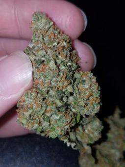Pineapple Express Auto - картинка 3