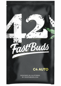 C4 Auto - картинка 8