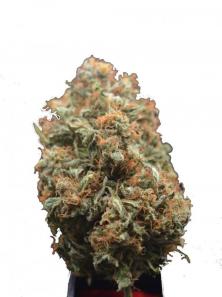 CBD Auto 1:1 (CBD Crack)