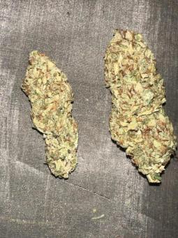 Exodus Cheese - картинка 7