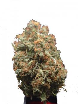 CBD Auto 1:1 (CBD Crack)
