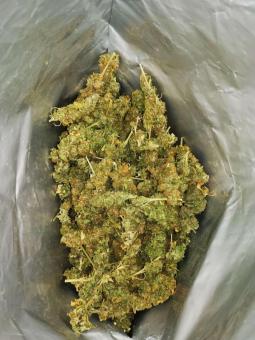 Tangerine Sorbet - картинка 4