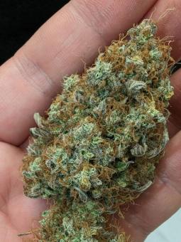 Blueberry Auto - картинка 2