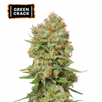 Green Crack - картинка 1