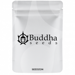 Buddha White Widow